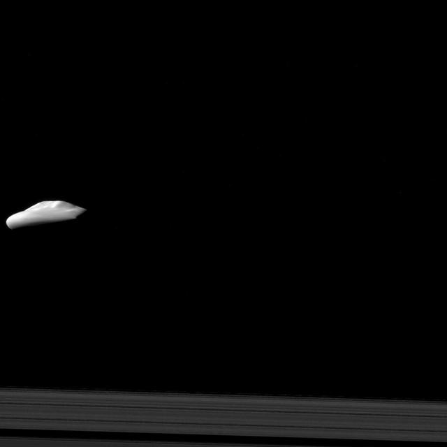 NASA Cassini spacecraft captured this view of Saturn moon Atlas 30 kilometers, or 19 miles across, with its smooth equatorial ridge, during a moderately close flyby on Dec. 6, 2015. The view offers one of Cassini best glimpses of Atlas.