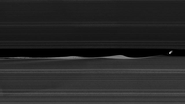 Daphnis, one of Saturn's ring-embedded moons, is featured in this view, kicking up waves as it orbits within the Keeler gap. The mosaic combines several images to show more waves in the gap edges. Daphnis is a small moon at 5 miles (8 kilometers) across, but its gravity is powerful enough to disrupt the tiny particles of the A ring that form the Keeler gap's edge. As the moon moves through the Keeler gap, wave-like features are created in both the horizontal and vertical plane. Images like this provide scientists with a close-up view of the complicated interactions between a moon and the rings, as well as the interactions between the ring particles themselves, in the wake of the moon's passage. Three wave crests of diminishing sizes trail Daphnis here. In each subsequent crest, the shape of the wave evolves, as the ring particles within the crests collide with one another. Close examination of Daphnis' immediate vicinity also reveals a faint, thin strand of ring material that almost appears to have been directly ripped out of the A ring by Daphnis. The images in this mosaic were taken in visible light, using the Cassini spacecraft narrow-angle camera at a distance of approximately 17,000 miles (28,000 kilometers) from Daphnis and at a Sun-Daphnis-spacecraft, or phase, angle of 71 degrees. Image scale is 551 feet (168 meters) per pixel. http://photojournal.jpl.nasa.gov/catalog/PIA17212