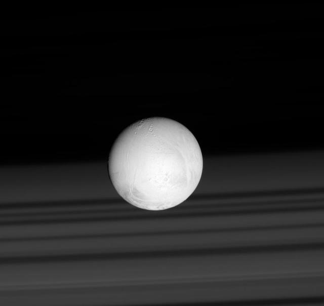 Taking a Shine to Enceladus
