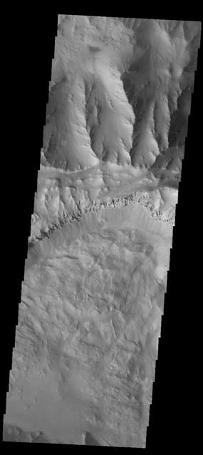 A large landslide deposit fills the bottom part of this image of Coprates Chasma captured by NASA 2001 Mars Odyssey spacecraft.