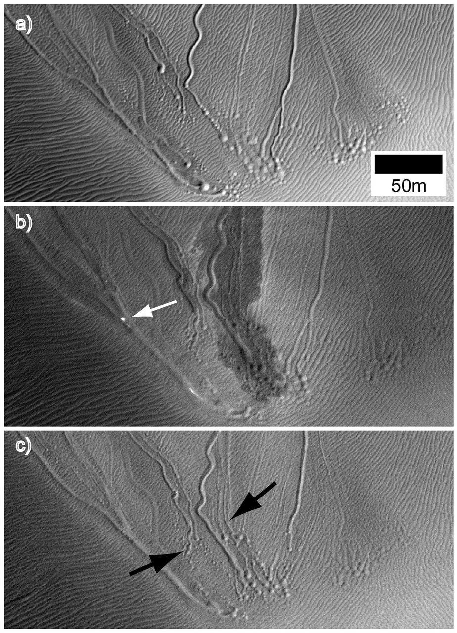These three images taken by NASA Mars Reconnaissance Orbiter are called linear gullies and were taken at different times of the year to observe changes.