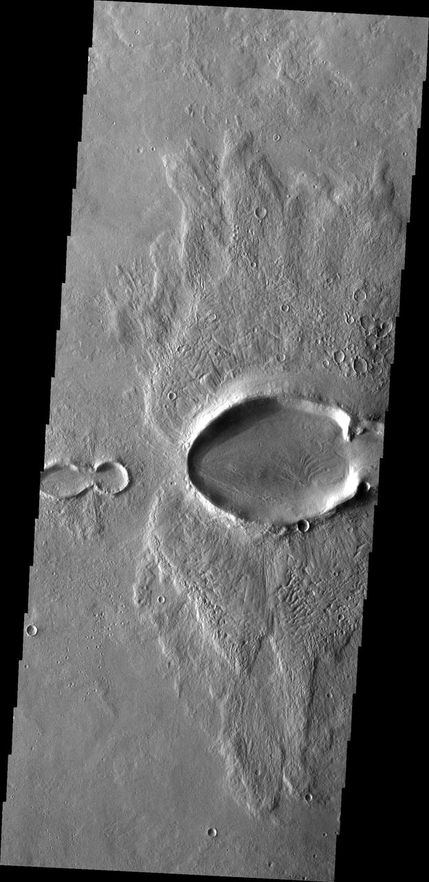 Do you see what I see in this image from NASA Mars Odyssey spacecraft? The multiple craters that cross the center of this image resemble a baby bug following the larger mama bug.