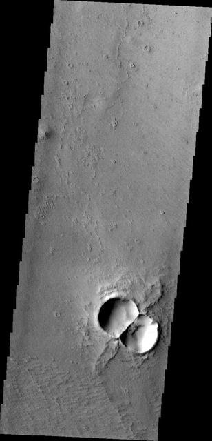 Do you see what I see this image captured by NASA 2001 Mars Odyssey spacecraft? A large bumble bee!