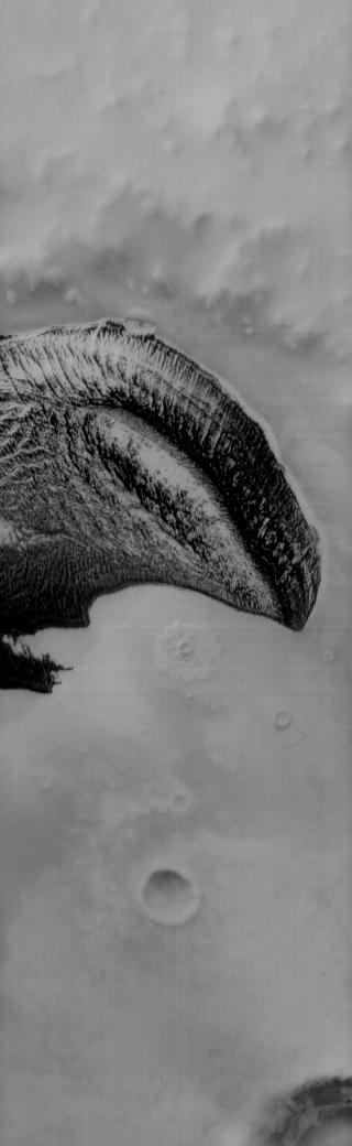 Do you see what I see? This image captured by NASA 2001 Mars Odyssey spacecraft shows polar dunes looking like T-rex, complete with his little arm.