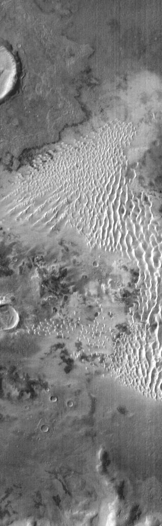This daytime IR image from NASA Mars Odyssey spacecraft shows part of the dune field on the floor of Kaiser Crater. The dune sand is warmer than the surrounding materials, so it appears bright in the IR image.