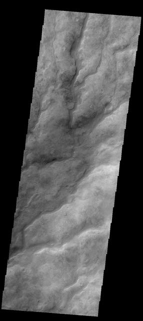 The numerous valleys in this image captured by NASA 2001 Mars Odyssey spacecra are dissecting part of Aonia Terra.