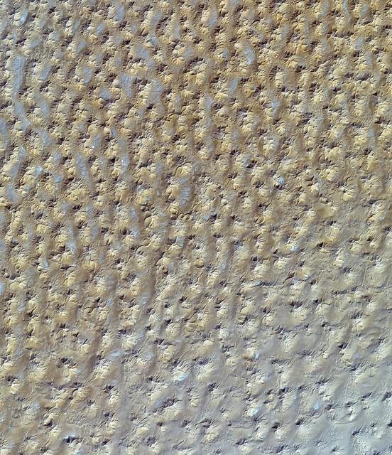 NASA image: Star Dunes, Algeria