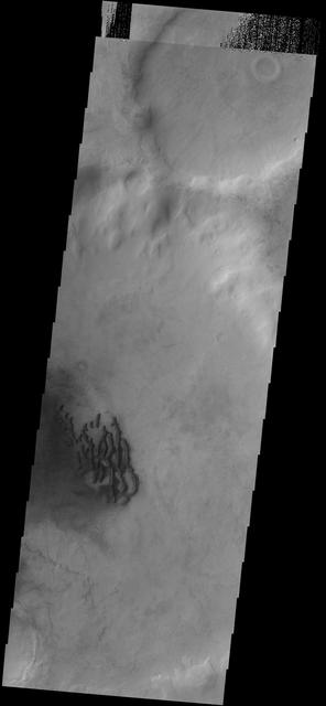 NASA image: Dunes in Noachis Terra