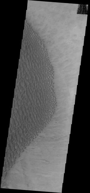 NASA image: Proctor Crater Dunes