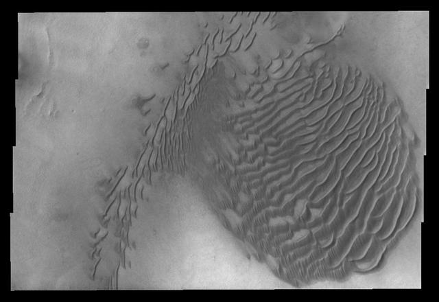 NASA image: Dunes in Terra Sirenum