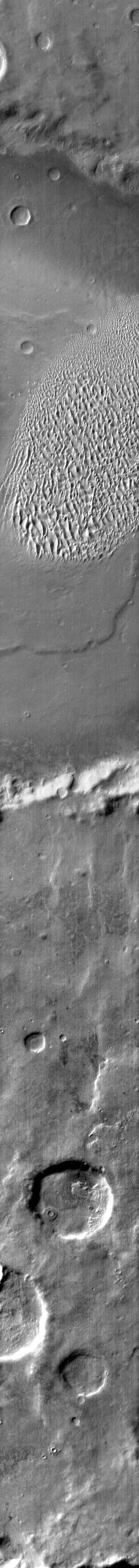 The dunes in this daytime IR image from NASA 2001 Mars Odyssey spacecraft appear bright because they are warmer than the surrounding crater materials. These dunes are located on the floor of Proctor Crater.