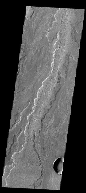 This image captured by NASA 2001 Mars Odyssey spacecraft shows part of the extensive lava flows that comprise Daedalia Planum.