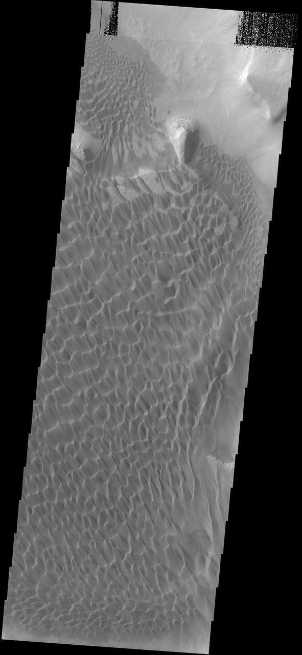 This image captured by NASA 2001 Mars Odyssey spacecraft shows part of the dune field located on the floor of Rabe Crater.