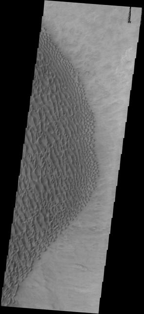 NASA image: Proctor Crater Dunes