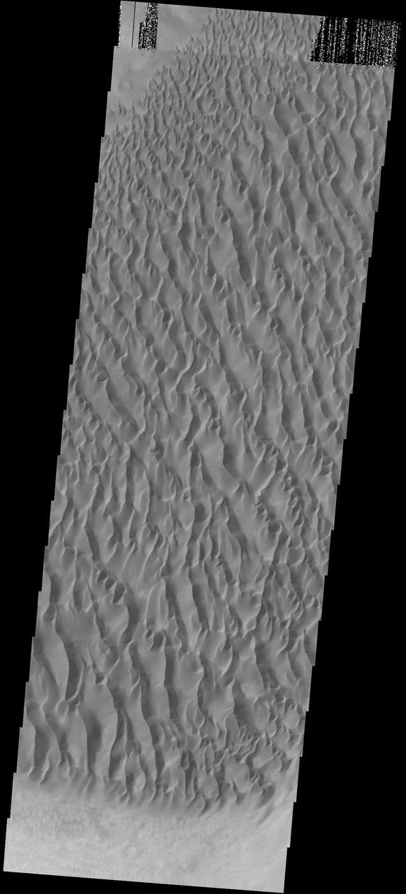 This image captured by NASA 2001 Mars Odyssey spacecraft shows part of the large sand sheet and sand dunes on the floor of Proctor Crater.