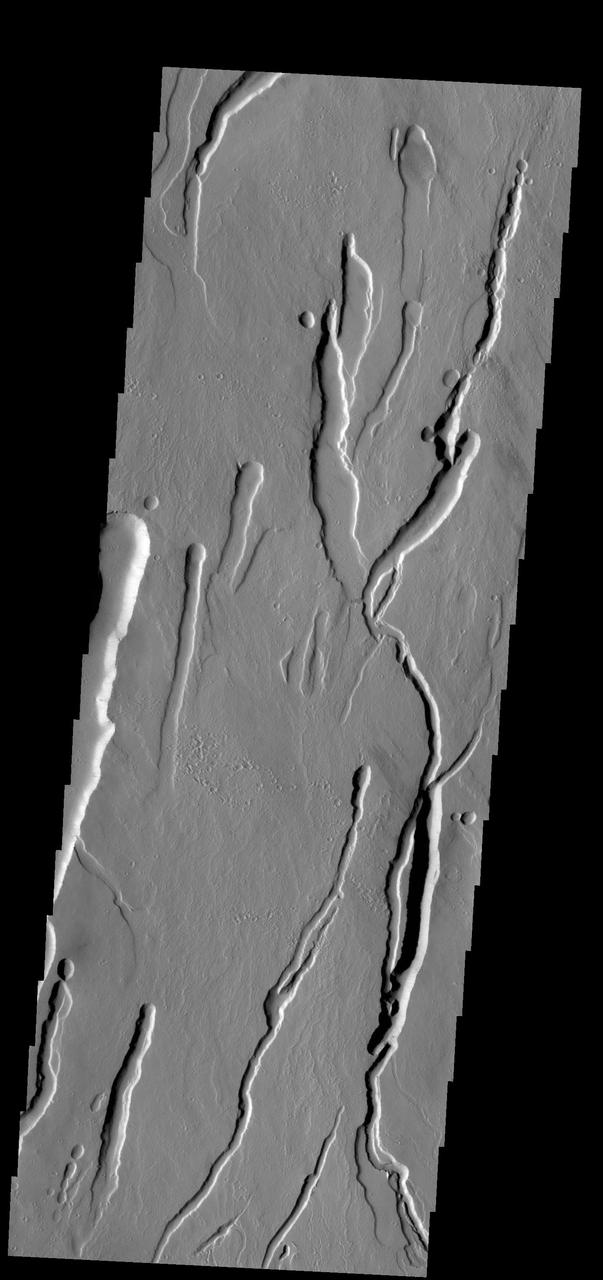 This image from NASA 2001 Mars Odyssey spacecraf shows part of the southern flank of Ascraeus Mons. Large collapse features are common in this area.