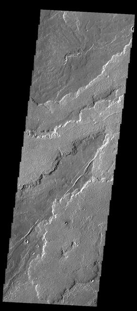 This image captured by NASA 2001 Mars Odyssey spacecraft shows part of the extensive field of lava flows that make up Daedalia Planum.