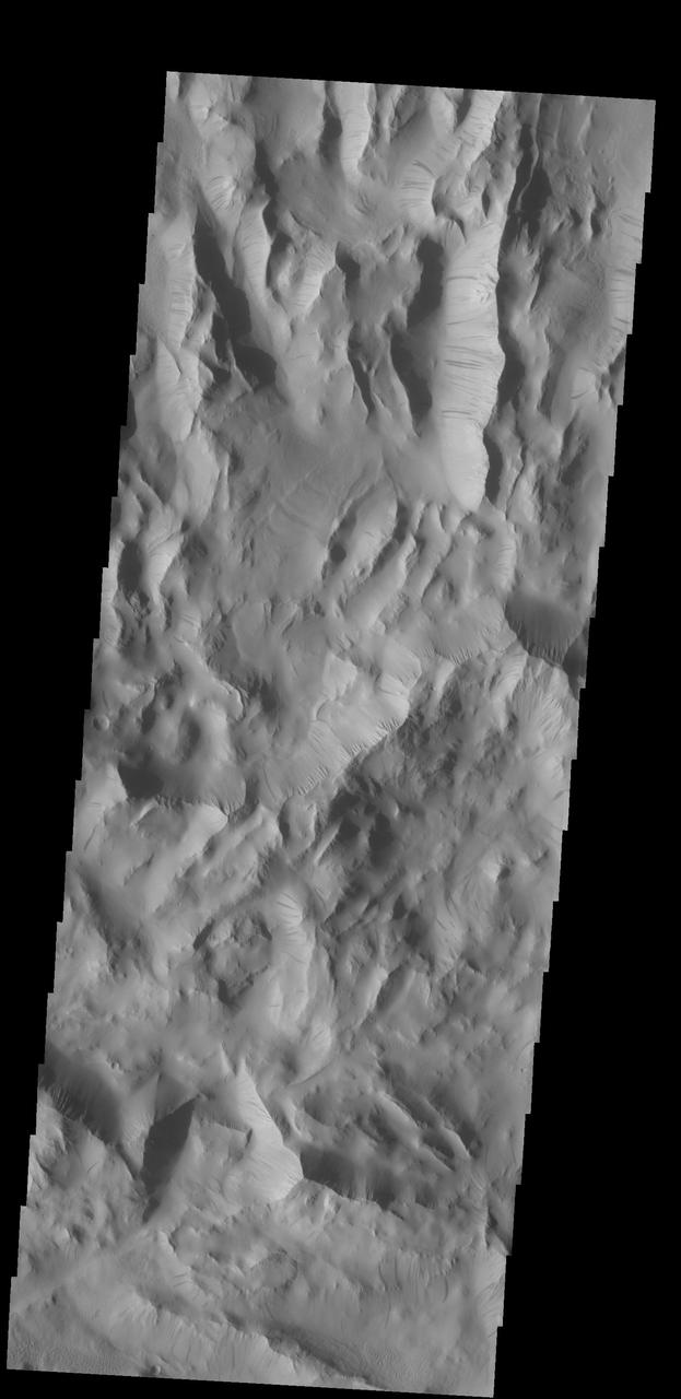 Dark slope streaks are common in Lycus Sulci, the complex ridged terrain surrounding the north and west side of Olympus Mons as seen in this image from NASA 2001 Mars Odyssey spacecraft.