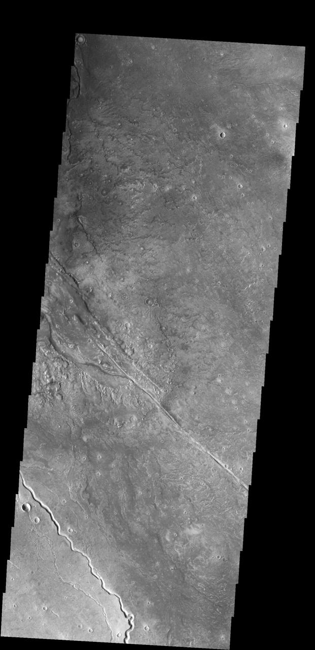 This image captured by NASA 2001 Mars Odyssey spacecraft shows several of the channels located in the Elysium Mons volcanic complex. It is likely that these channels were formed by lava flow rather than water.
