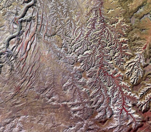 NASA image: Canyonlands National Park, Utah