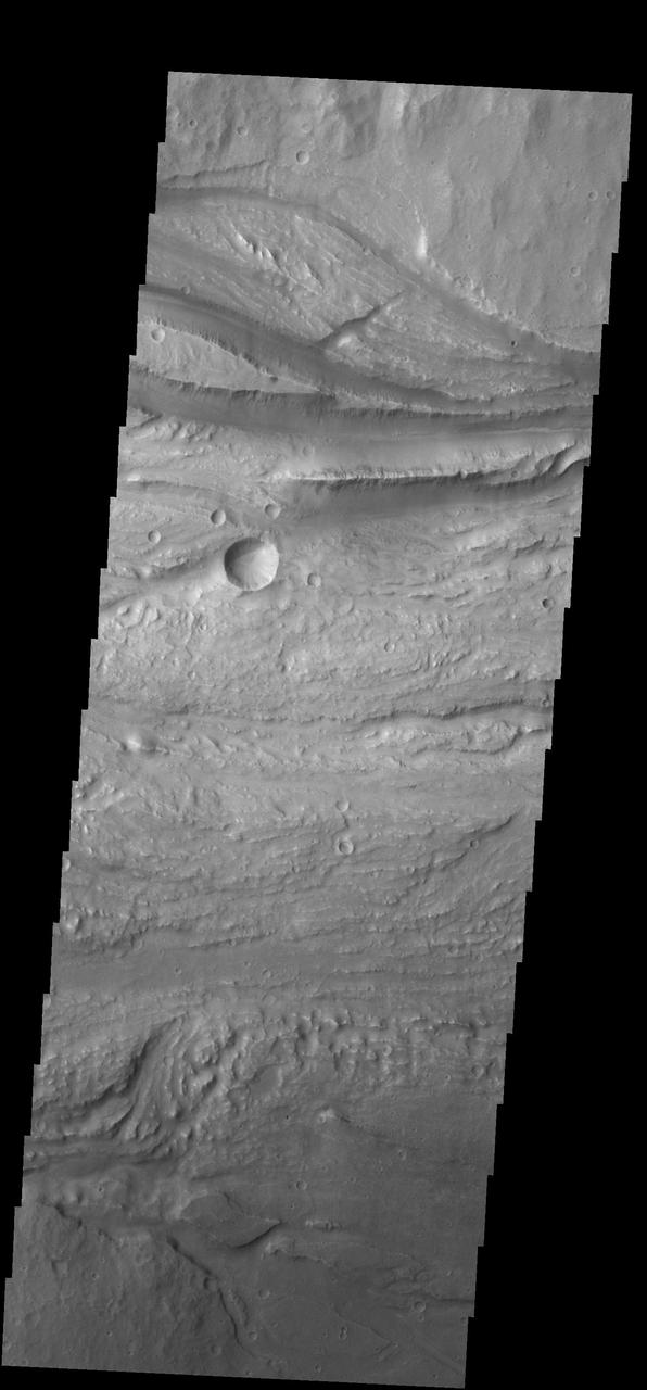 The channels in this image are part of Ravi Vallis as seen by NASA 2001 Mars Odyssey spacecraft.