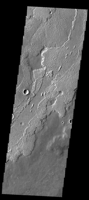 This image from NASA 2001 Mars Odyssey spacecraft shows lava flows in Daedalia Planum.