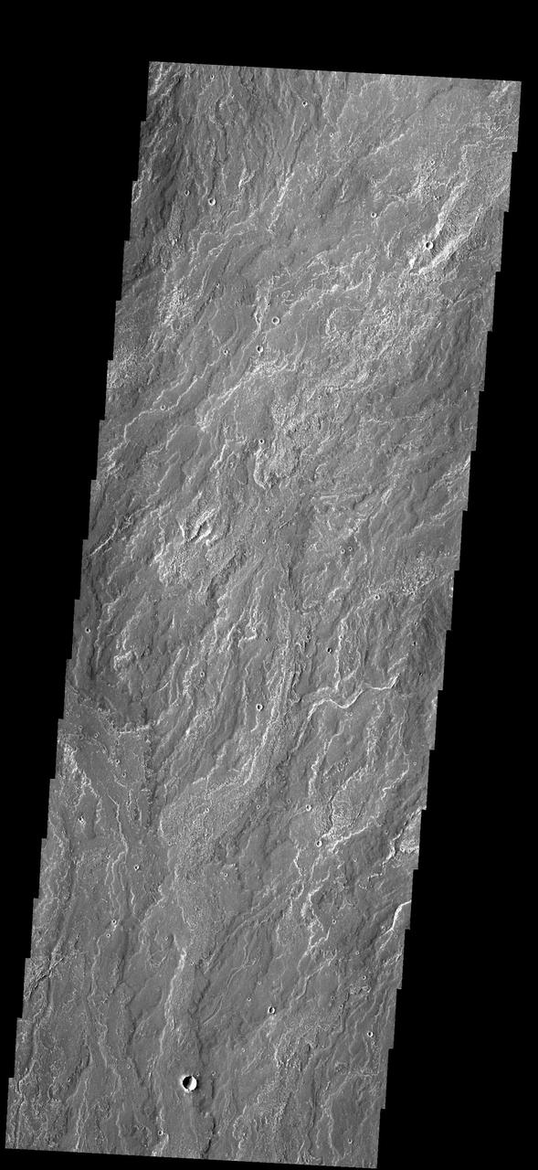 This image captured by NASA 2001 Mars Odyssey spacecraft shows a small portion of the lava flows that make up Daedalia Planum.