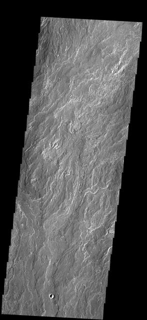 NASA image: Daedalia Planum