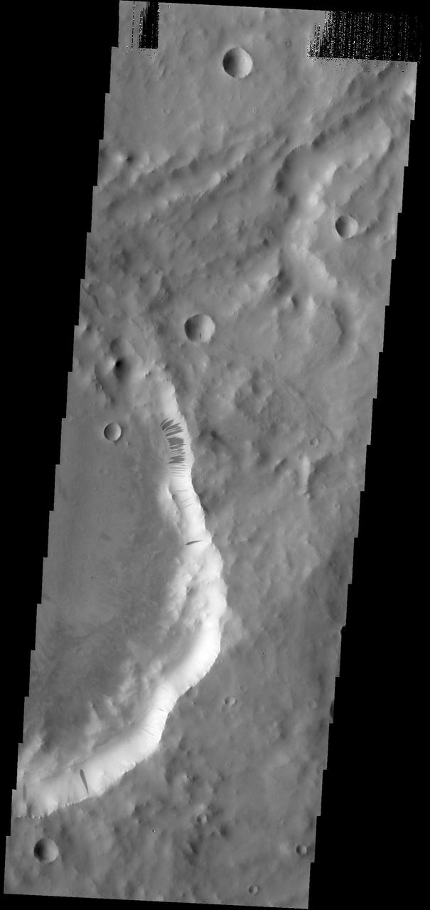 Many dark slope streaks mark the rim of this unnamed crater in Terra Sabaea in this image from NASA 2001 Mars Odyssey spacecraft.