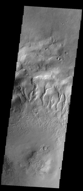 Many gullies are located on the northern rim of this unnamed crater in Noachis Terra as seen by NASA 2001 Mars Odyssey spacecraft. Small dunes are located on the floor of the crater lower left side of image.