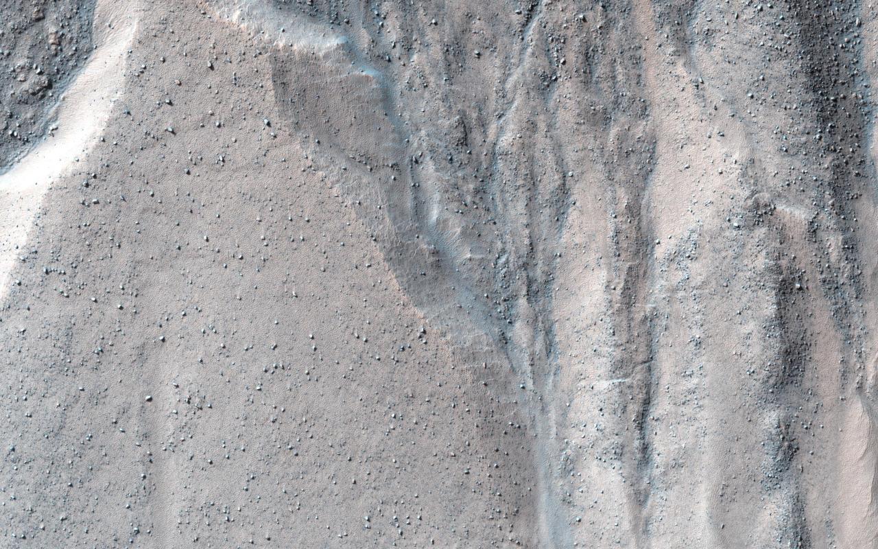 This observation from NASA Mars Reconnaissance Orbiter shows a beautiful example of gullies in a massif in Nereidum Montes, located in Argyre Planitia, one of the largest impact basins on Mars.
