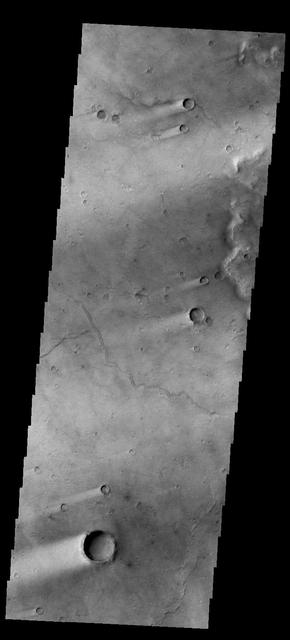 This image shows wind streaks in Syrtis Major Planum as seen by NASA 2001 Mars Odyssey spacecraft.