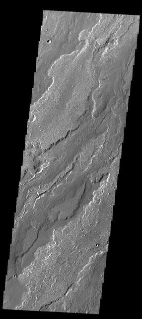 This image captured by NASA 2001 Mars Odyssey spacecraft shows a small portion of the lava flows that comprise Daedalia Planum.
