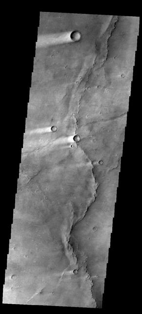 This image shows several wind streaks in Syrtis Major Planum as seen by NASA 2001 Mars Odyssey spacecraft.