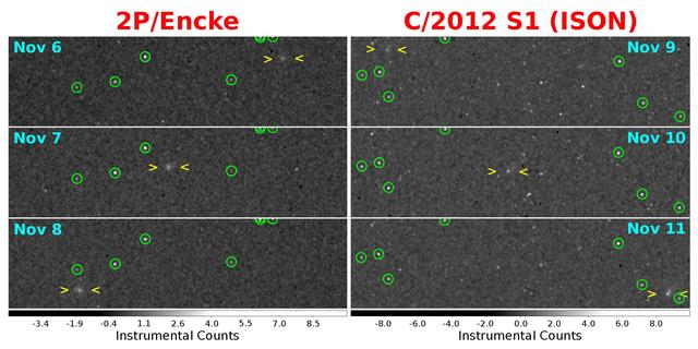As comets C/2012 S1 ISON and the well-known short-period comet 2P/Encke both approached their closest distances to the Sun in November, 2013, they also passed close to the MESSENGER spacecraft orbiting the innermost planet Mercury.