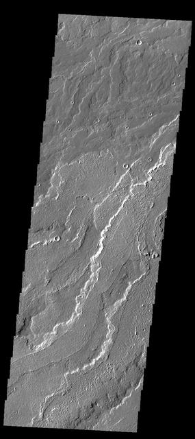 This image from NASA 2001 Mars Odyssey spacecraft shows a small portion of the lava flows that comprise Daedalia Planum.