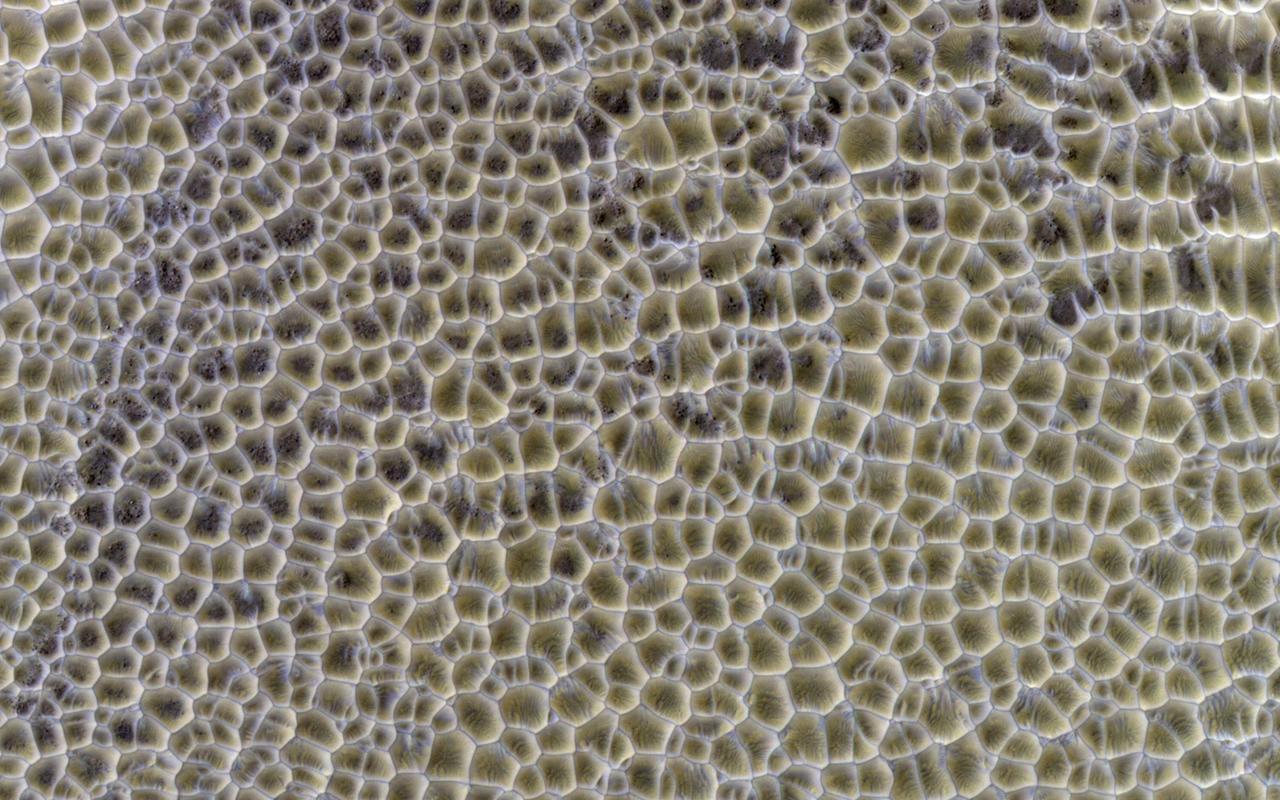 This observation from NASA Mars Reconnaissance Orbiter Polygons form by the intersecting ridges of sand dunes. The illumination is coming from the upper left, so the bluish ridges are high-standing.