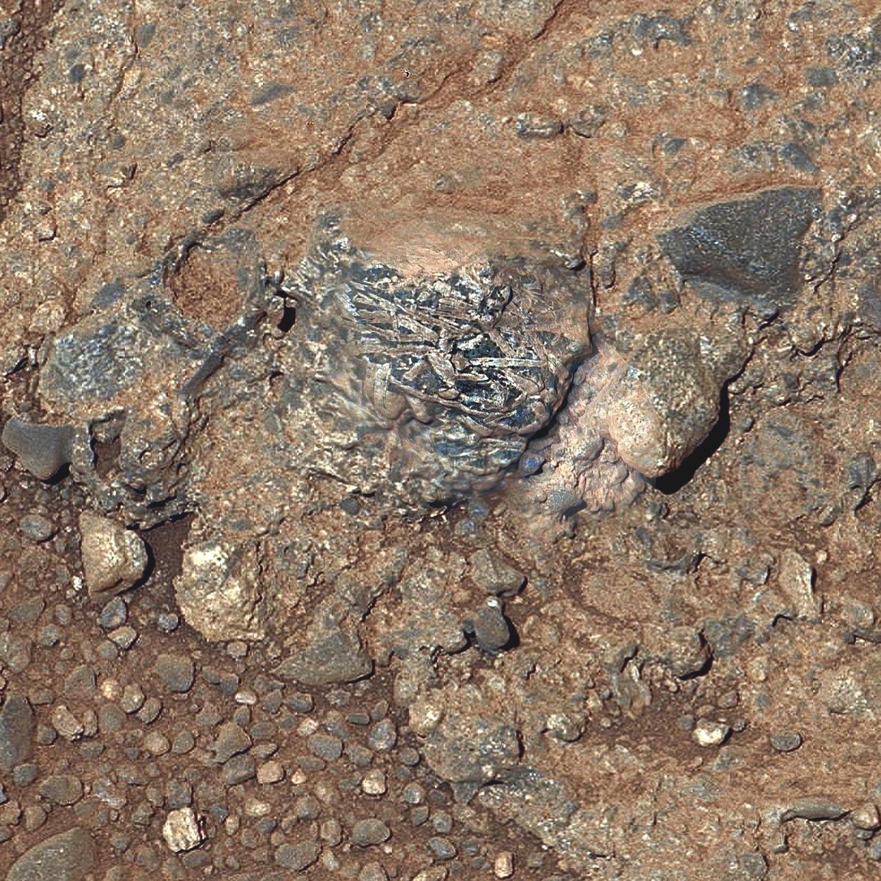 This view of a Martian rock target called /Harrison merges images from two cameras onboard NASA Curiosity Mars rover to provide both color and microscopic detail. The elongated crystals are likely feldspars, and the matrix is pyroxene-dominated.