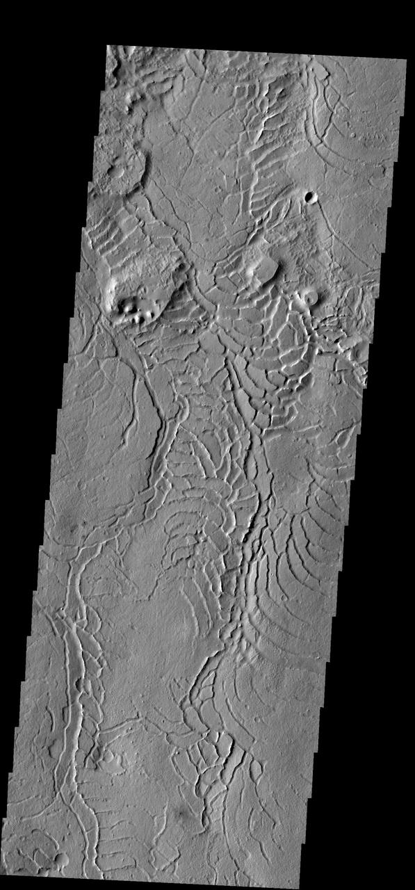 The arcuate or curved fractures in this image are located on the eastern margin of Elysium Planitia as seen by NASA 2001 Mars Odyssey spacecraft.