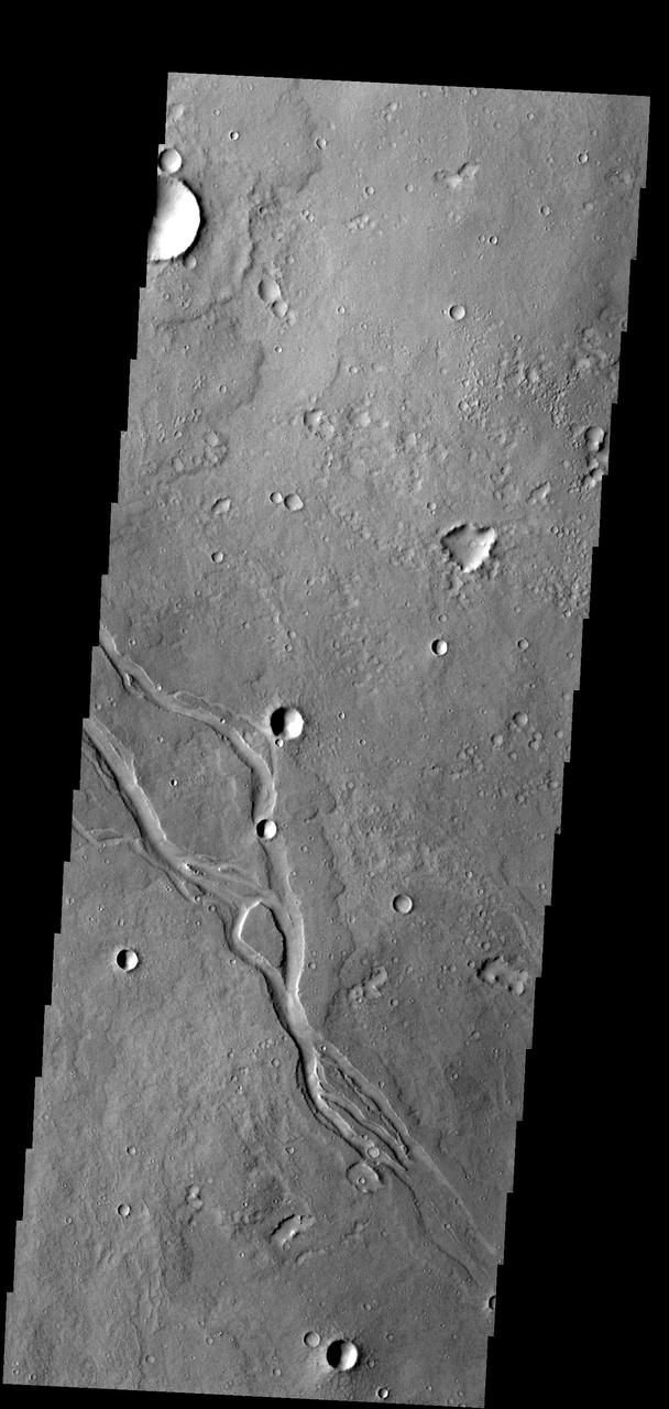 The channels in this image captured by NASA 2001 Mars Odyssey spacecraft are located in Elysium Planitia and were likely created by lava flow.