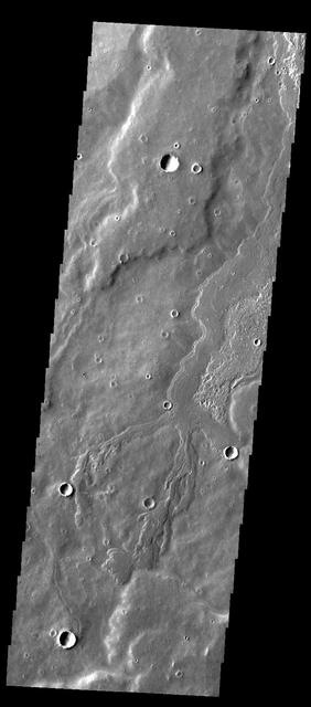 This image captured by NASA 2001 Mars Odyssey spacecraft of Daedalia Planum contains a narrow lava flow and shows the end of the flow. The end of a lava flow is often called the toe and is formed when the eruption creating the flow slows down or stops