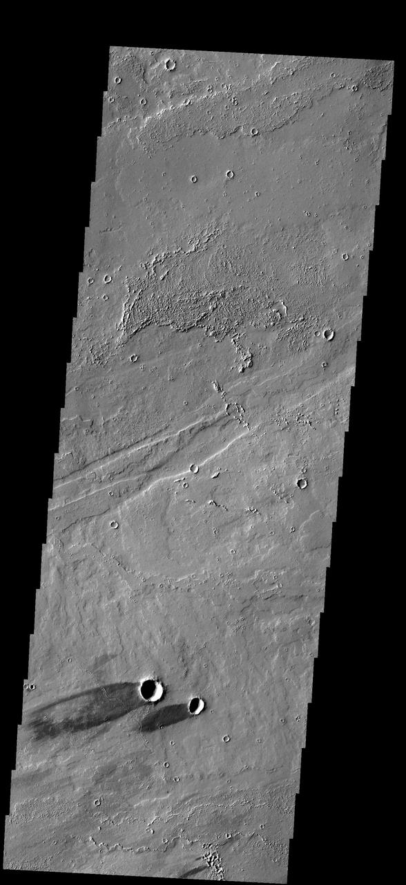 The two dark windstreaks in this image from NASA 2001 Mars Odyssey spacecraft are located on the extensive lava plains of Daedalia Planum.