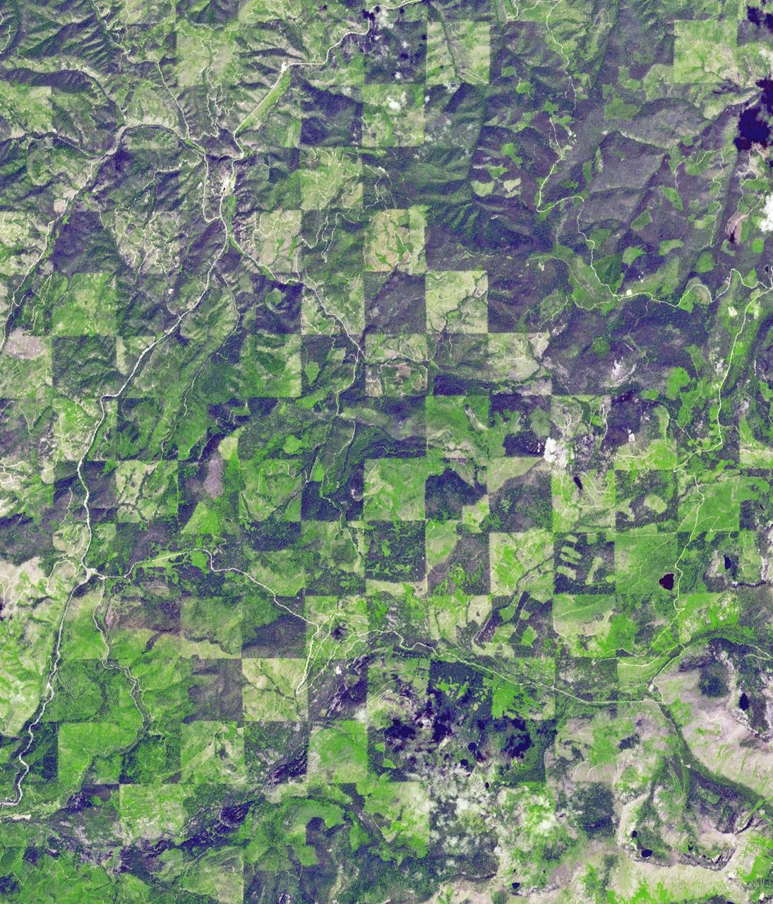 Logging operations have left a striking checkerboard pattern in the landscape along the Idaho-Montana border, sandwiched between Clearwater and Bitterroot National Forests as seen in this image acquired by NASA Terra spacecraft.