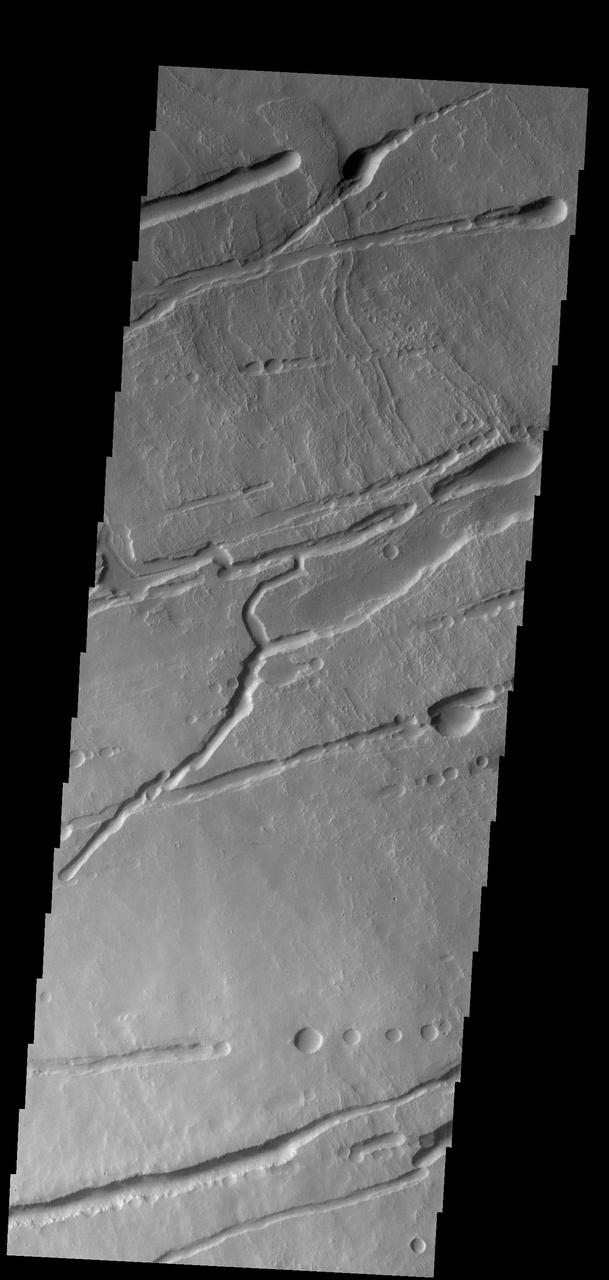 The fractures, collapse features and lava flows in this image captured by NASA 2001 Mars Odyssey spacecraft are all located on the northern flank of Ascraeus Mons.
