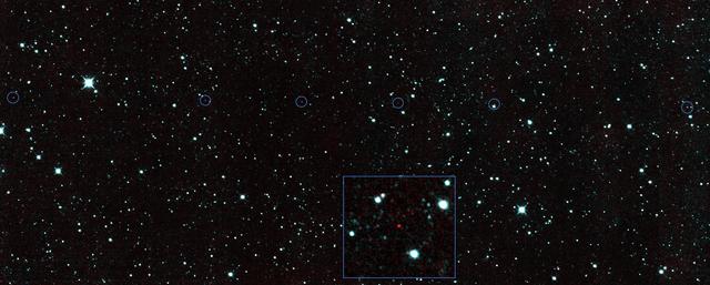 NASA image: NEOWISE New Find