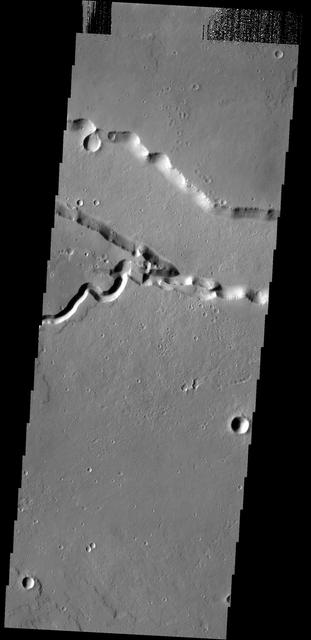 NASA image: Patapsco Vallis