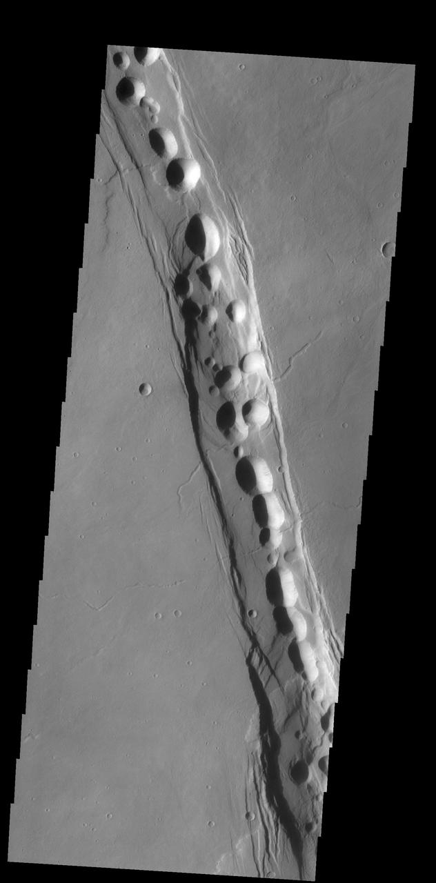 The complex fracture in this image captured by NASA 2001 Mars Odyssey spacecraft is one of the many graben that surround Alba Mons.