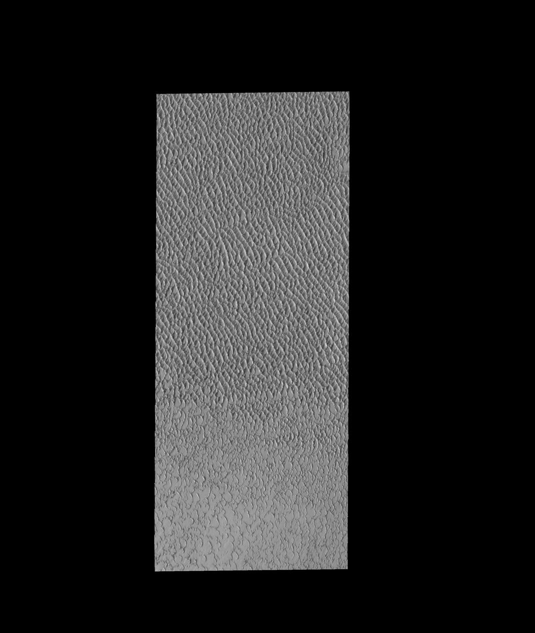 This image from NASA 2001 Mars Odyssey spacecraft shows a small portion of Olympia Undae, the vast dune field near the north pole.