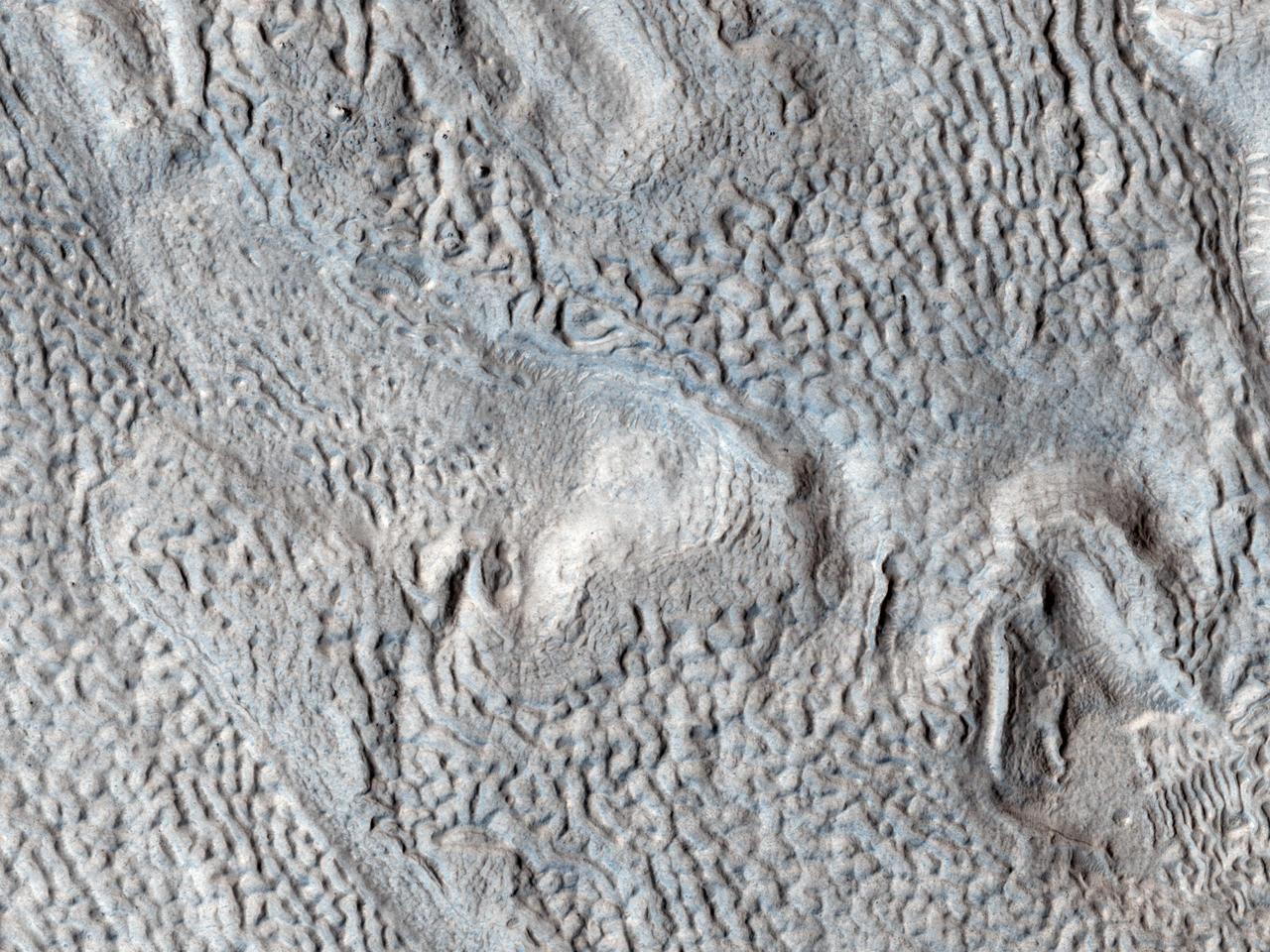 Ridges and Grooves That Wave and Buckle on a Valley Floor
