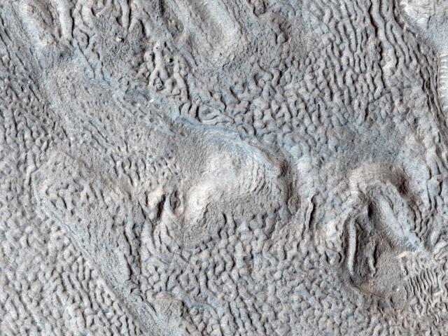 NASA image: Ridges and Grooves That Wave and Buckle on a Valley Floor